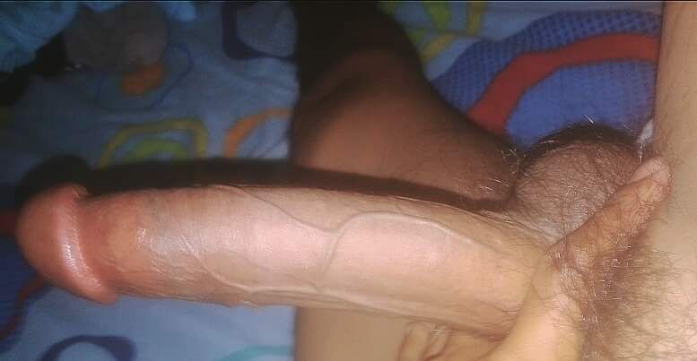 Mi pene para todas las bellas damas