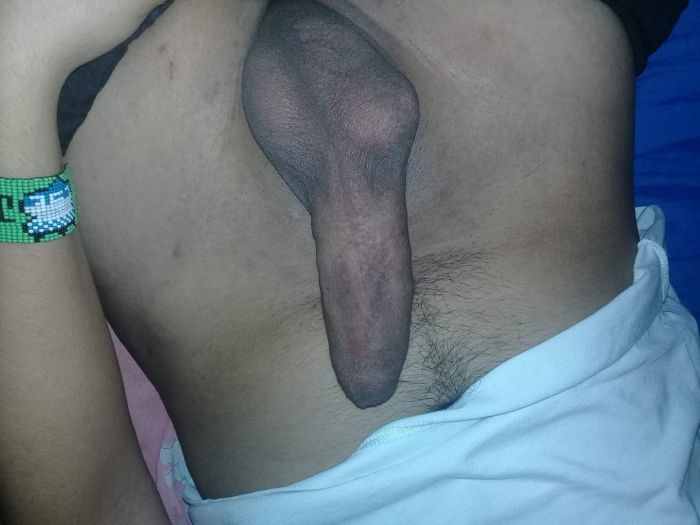 Mi jugosa verga para chicas bellas la tengo de 20cm