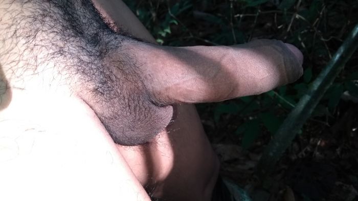 Mi pene erecto comenté si les gusta comente