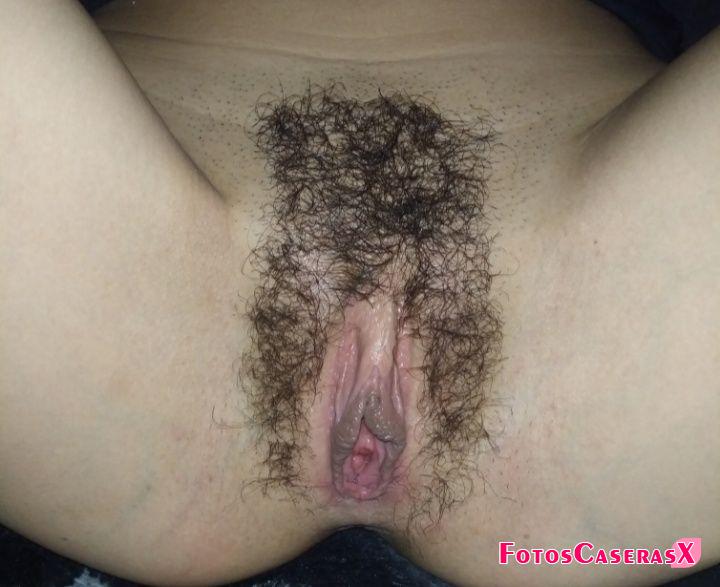 Coñito peludo de mi novia para disfrutar