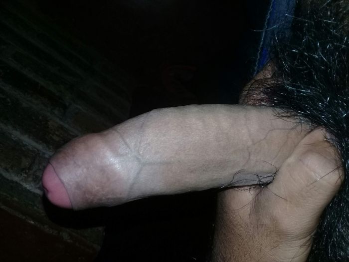 Mi verga bien erecta para toda mujer sexy