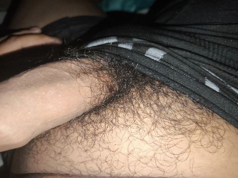 Mi pene pequeño y muy peludo cachondo