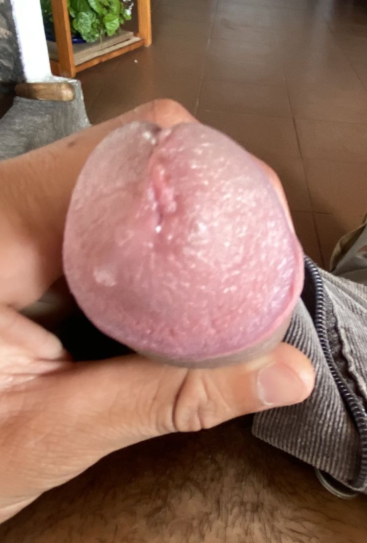 Miren mi hermosa verga q opinan de mi pene cabezón 4 Miren mi hermosa verga q opinan de mi pene cabezón